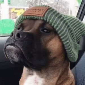 Meet your Posher, Cameron